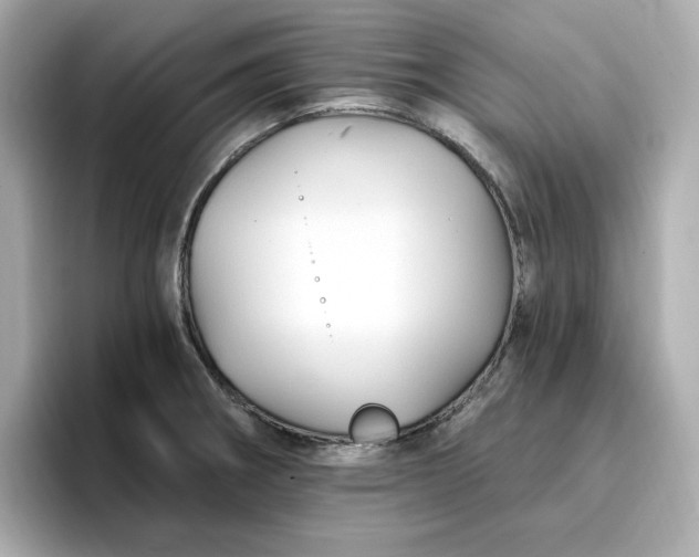 X0000096971282200802221355