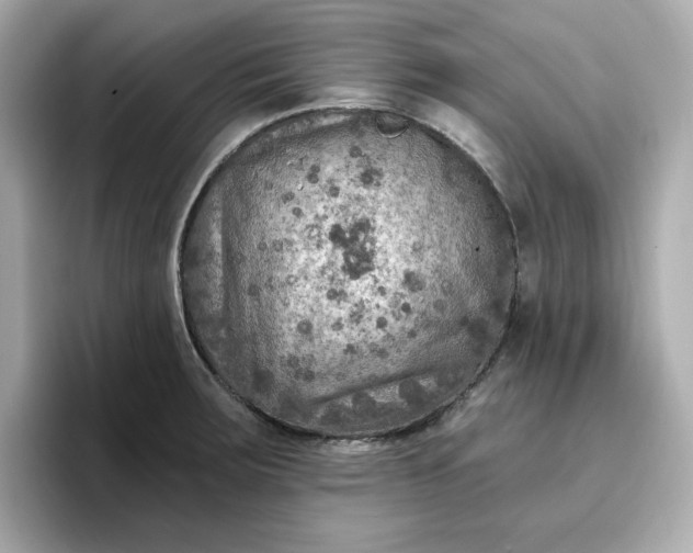 X0000096971283200802221355