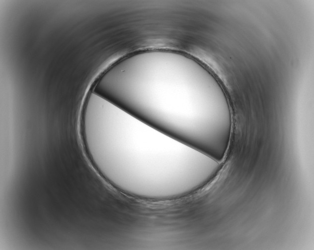 X0000096971285200802221355