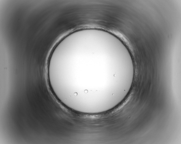 X0000096971286200802221355