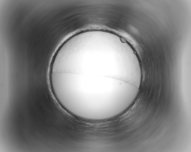 X0000096971287200802221355