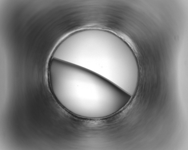 X0000096971288200802221355