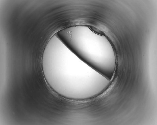 X0000096971289200802221355