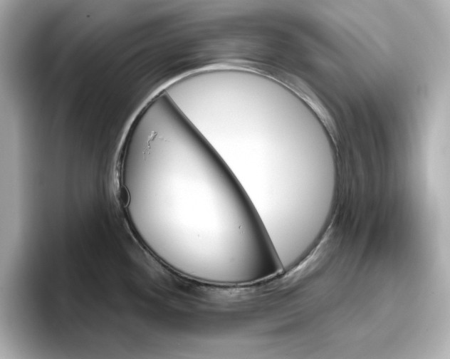 X0000096971292200802221355