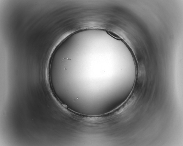 X0000096971293200802221355