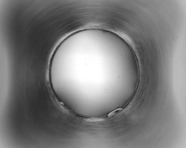 X0000096971296200802221355