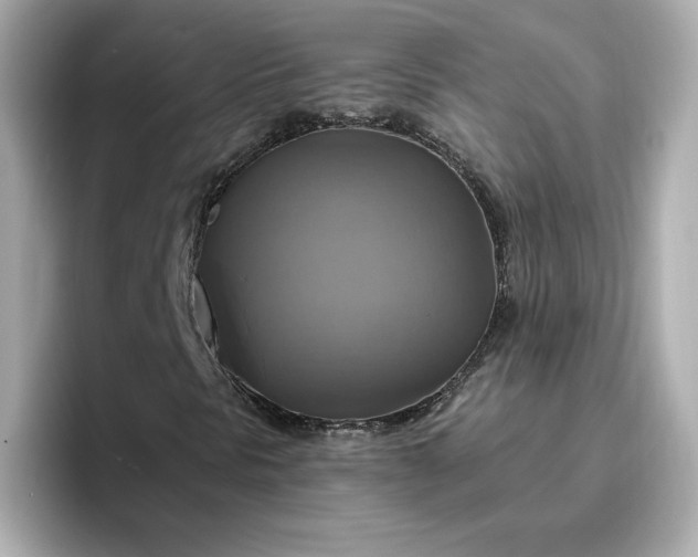 X0000096971297200802221354