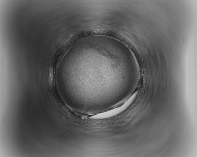 X0000096971298200802221354