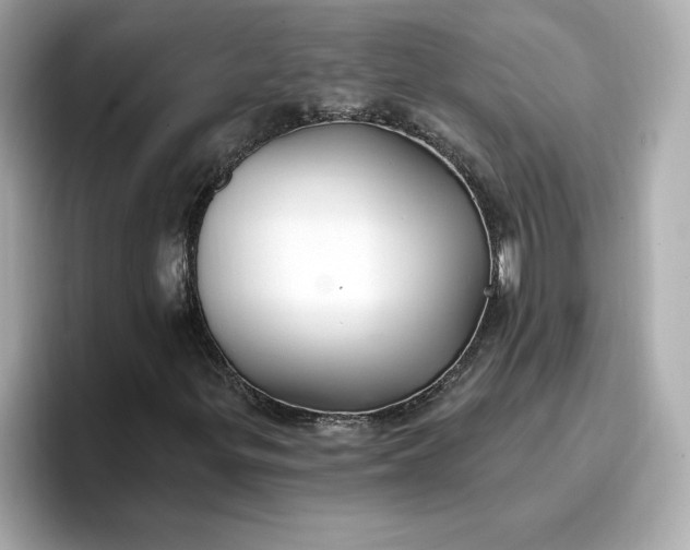 X0000096971299200802221354