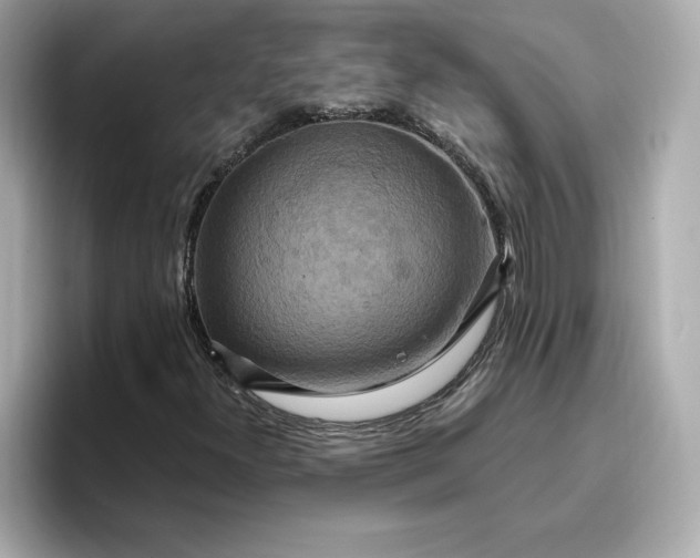 X0000096971300200802221354