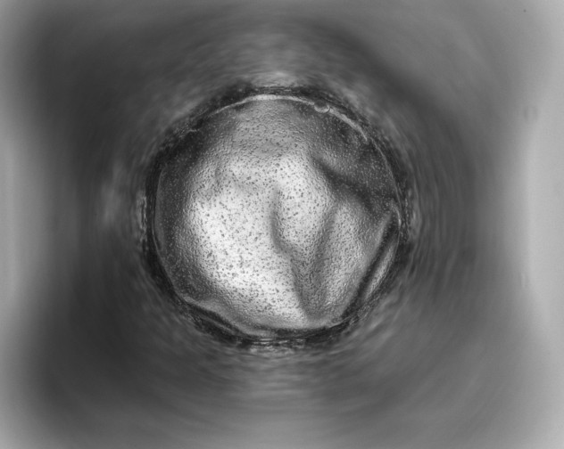 X0000096971301200802221354