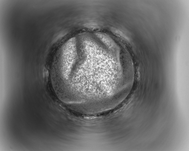 X0000096971302200802221354