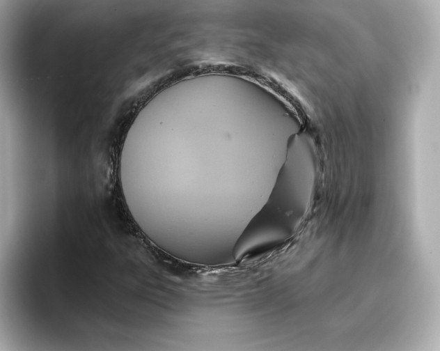 X0000096971303200802221354