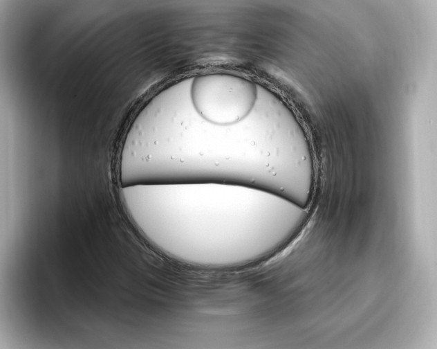 X0000096971305200802221354