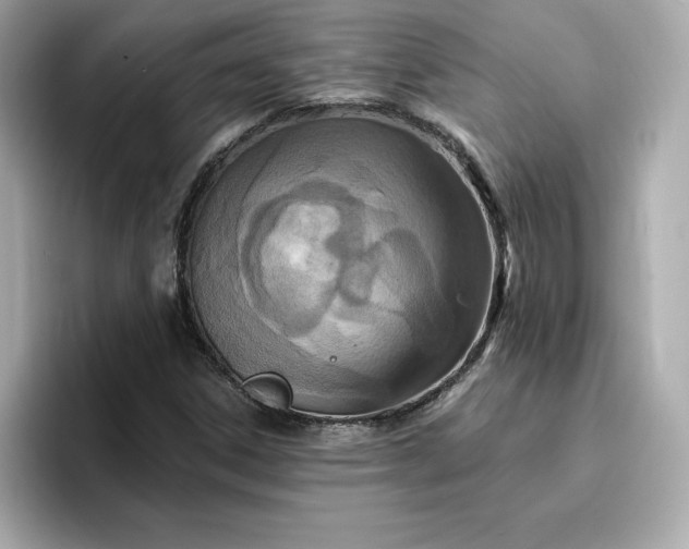 X0000096971306200802221354