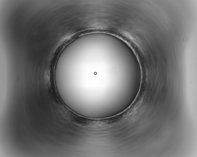 X0000096971307200802221354