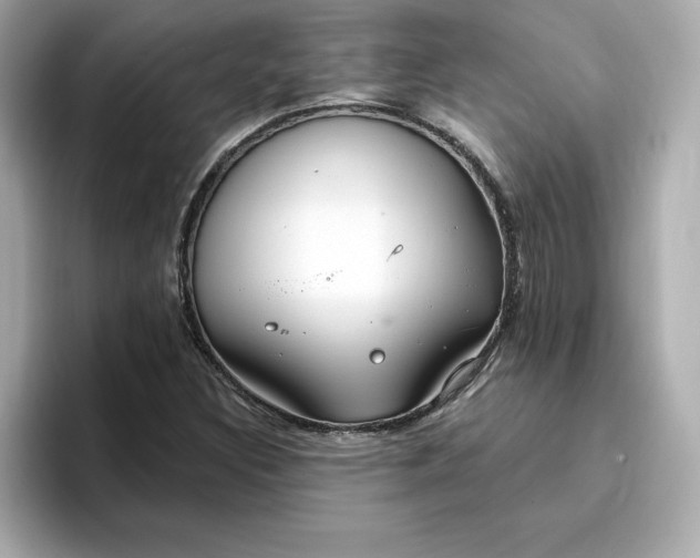 X0000096971308200802221354