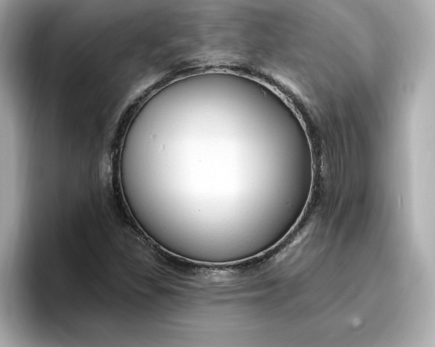 X0000096971309200802221354