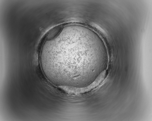 X0000096971310200802221354