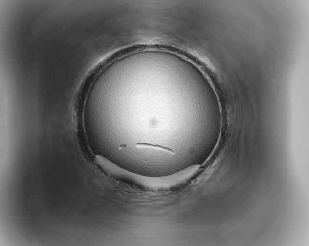 X0000096971311200802221354