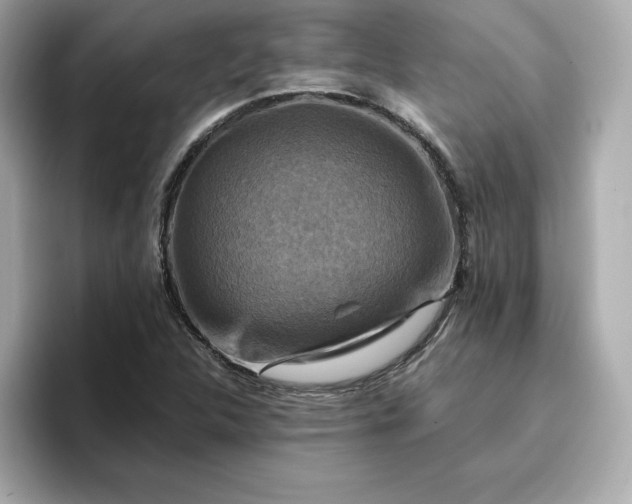 X0000096971312200802221354