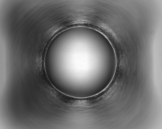 X0000096971313200802221354