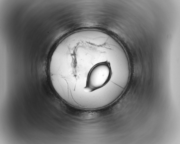 X0000096971314200802221354