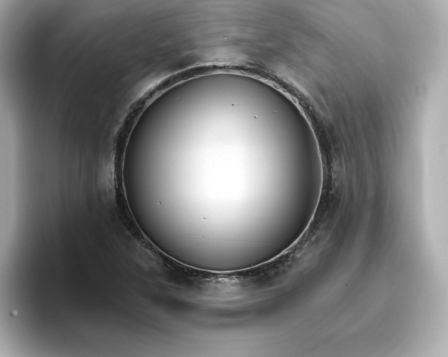 X0000096971315200802221354