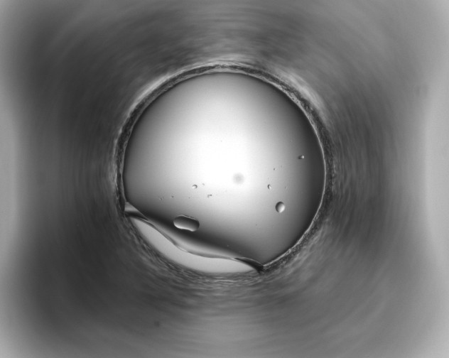 X0000096971316200802221354