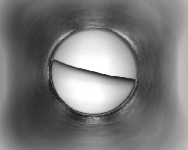 X0000096971317200802221354