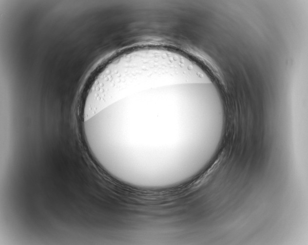 X0000096971318200802221354