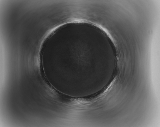 X0000096971319200802221354