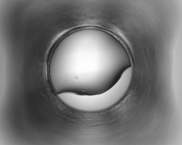 X0000096971320200802221354