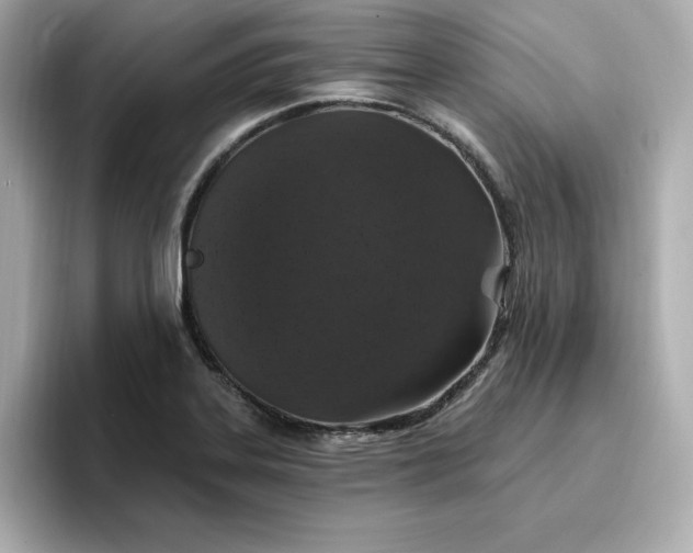 X0000096971323200802221354