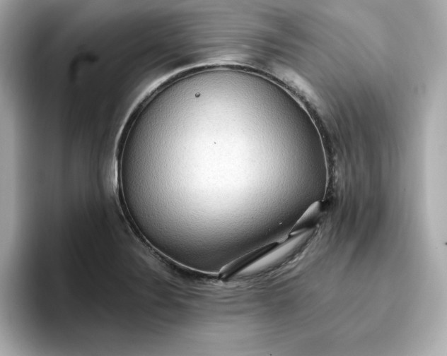 X0000096971324200802221354