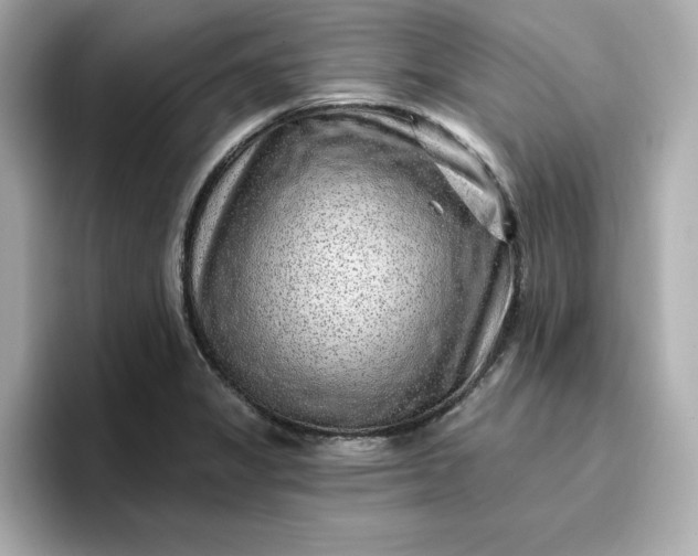 X0000096971325200802221354