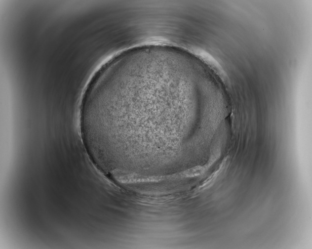 X0000096971326200802221354