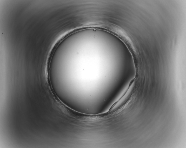 X0000096971328200802221354