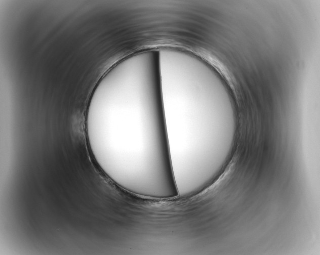 X0000096971329200802221354