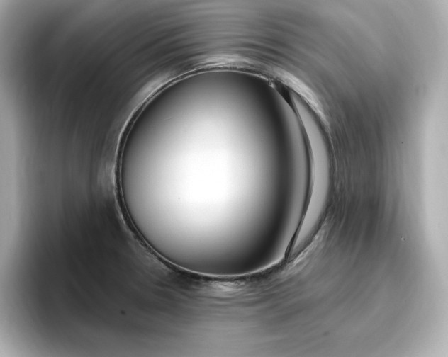 X0000096971330200802221354