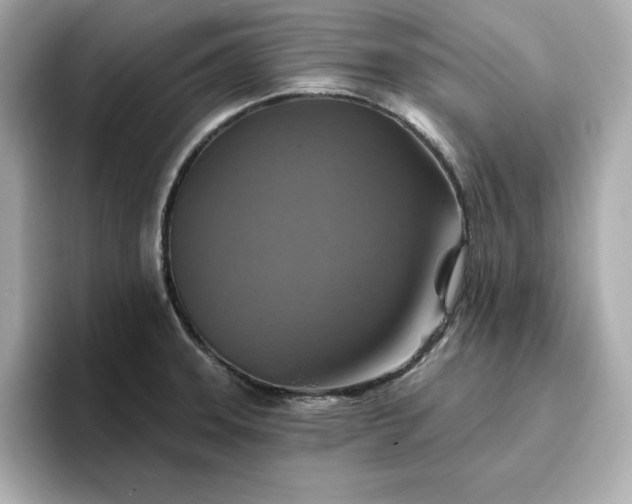 X0000096971331200802221354