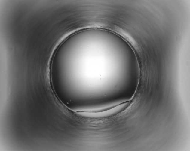 X0000096971332200802221354