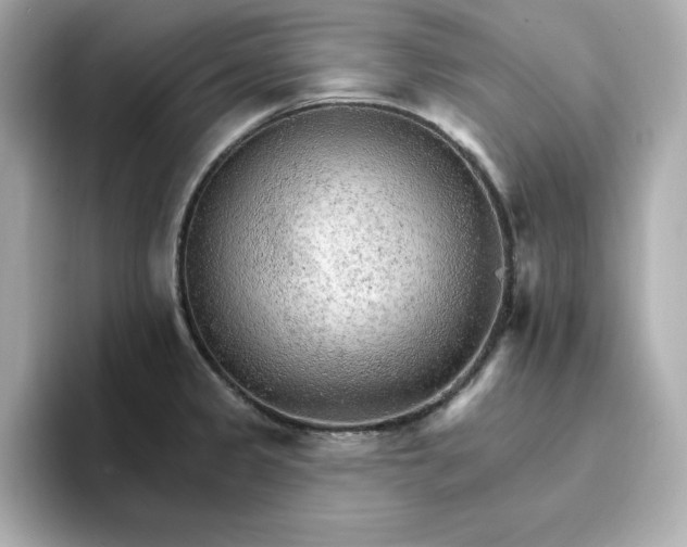 X0000096971333200802221354