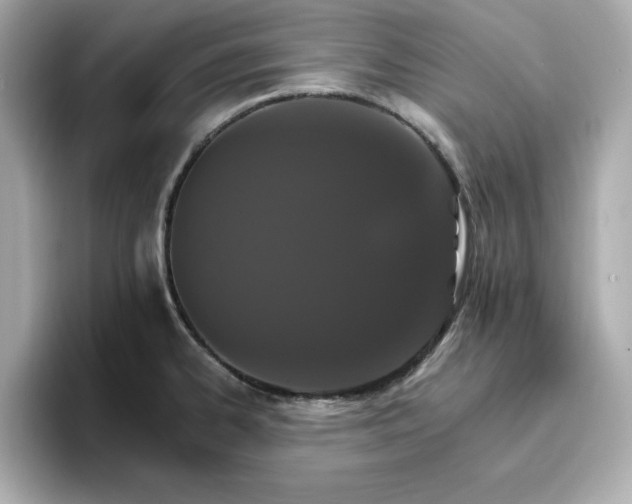 X0000096971334200802221354