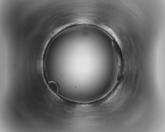 X0000096971335200802221354