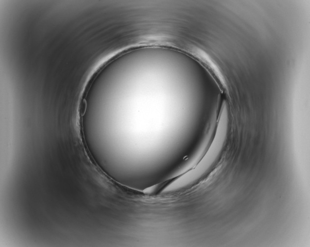 X0000096971336200802221354