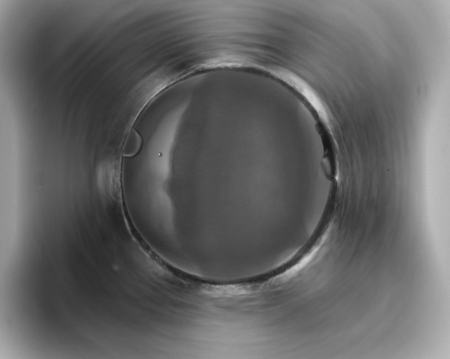 X0000096971337200802221354