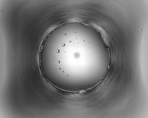 X0000096971338200802221354