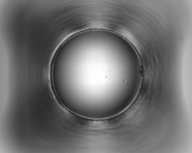 X0000096971339200802221354