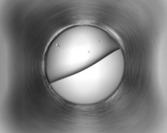 X0000096971340200802221354